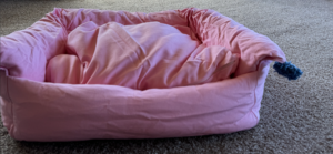 Pink Pom Pom Boom Dog Bed